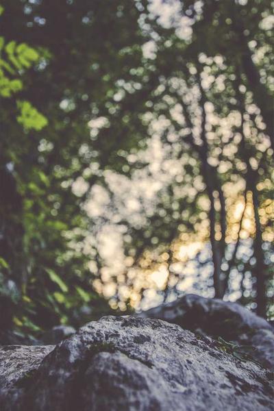 How to Start an LLC in South Dakota 